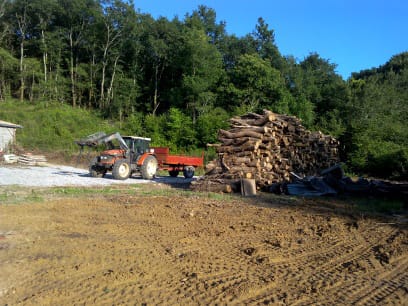 Tas de bois en forêt